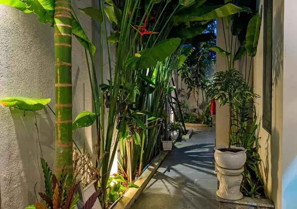 Aroma Garden Suites Hoi An - photo 16