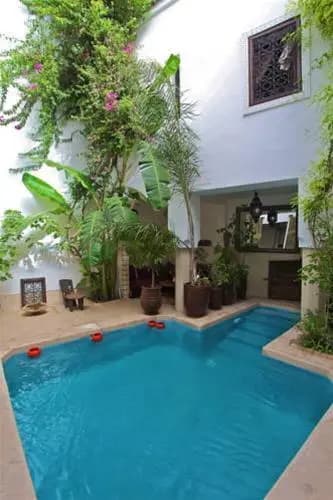 Riad Tawanza - photo 8