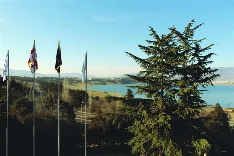 View Lake Hotel - photo 12