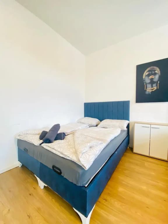 Spacious 4BR for 15 & 15 Min to Danube - photo 36