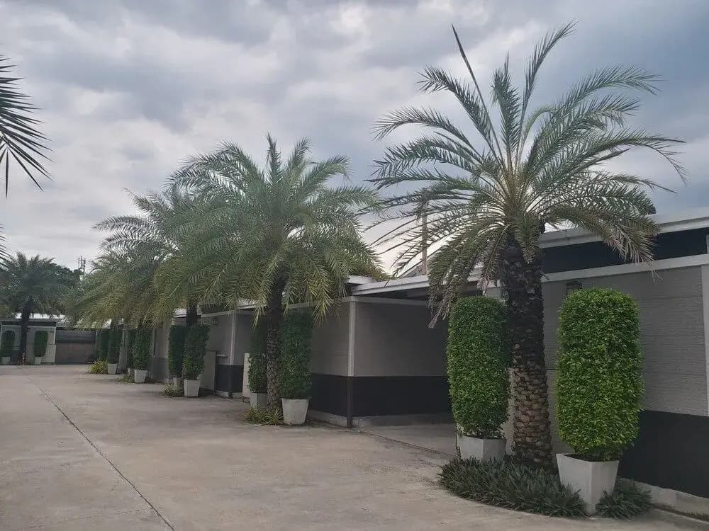 The 9 Resort - photo 11