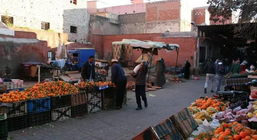 Dar Lamane - photo 10