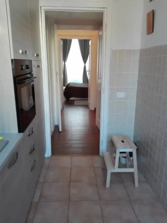 Flaminia 26 - photo 11