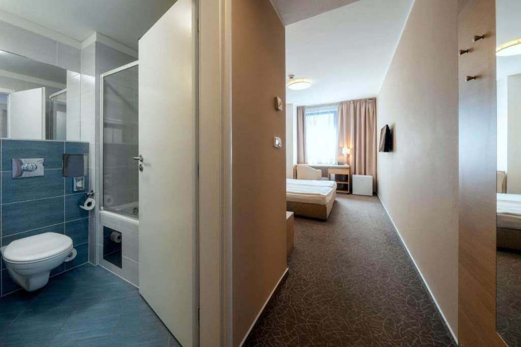 Hotel Ehrlich Prague - photo 31