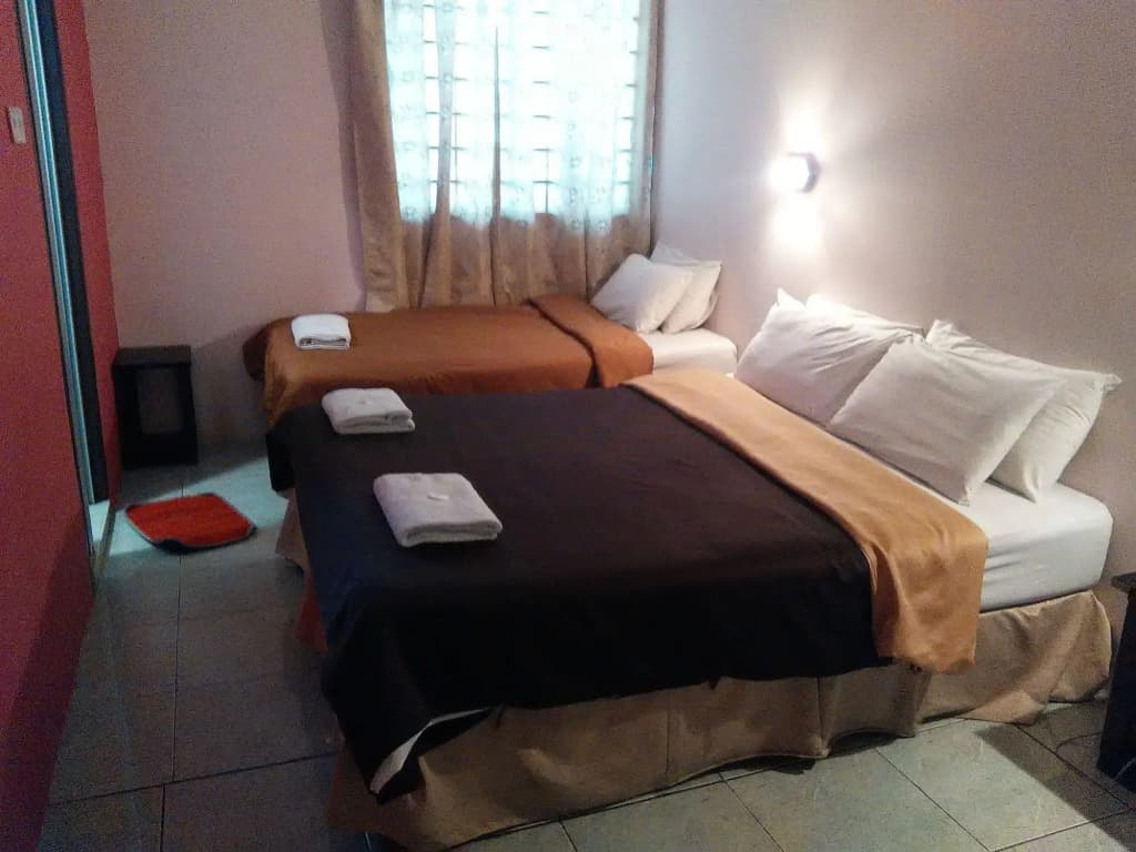 DZ Hotel - photo 3