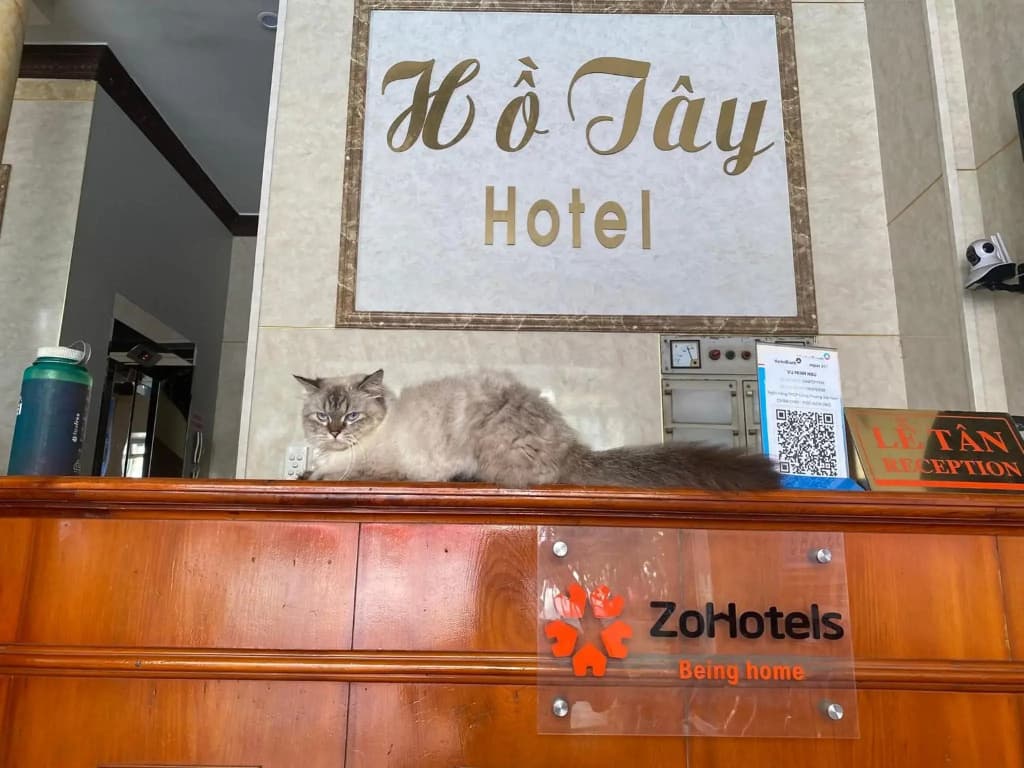 Ho Tay Hotel - photo 12