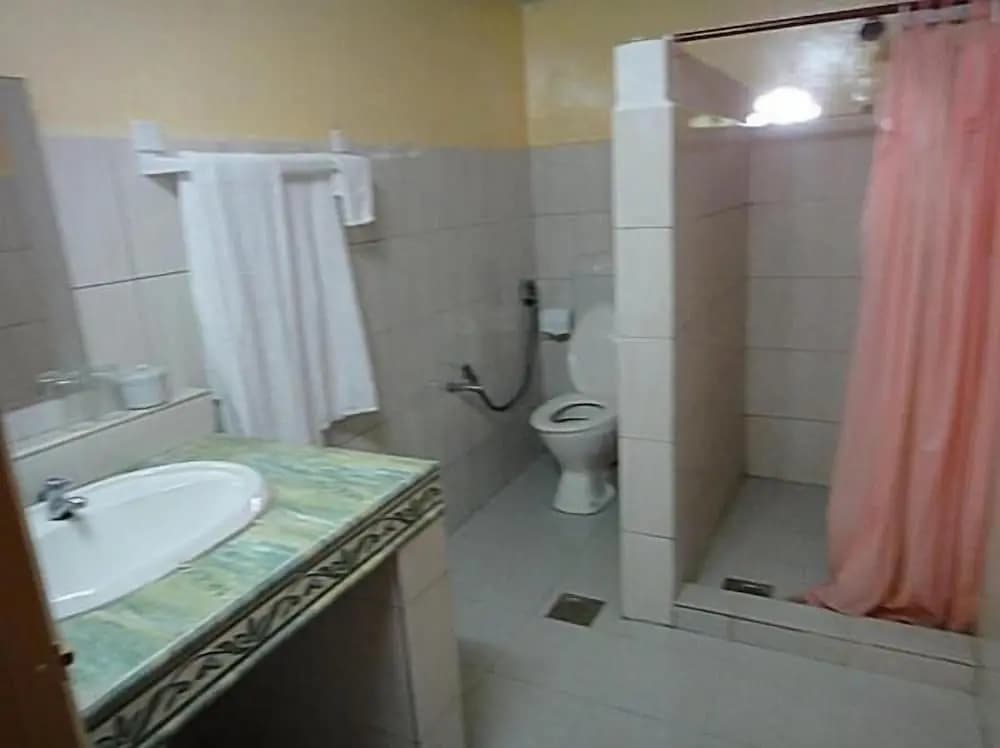 Holiday View Inn Taman Negara - photo 8
