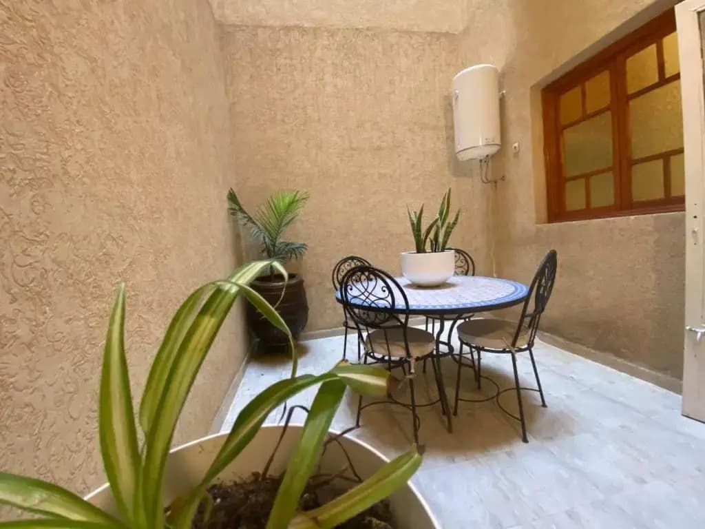 Cycas Family Aparts -Fibre Optique- - photo 13