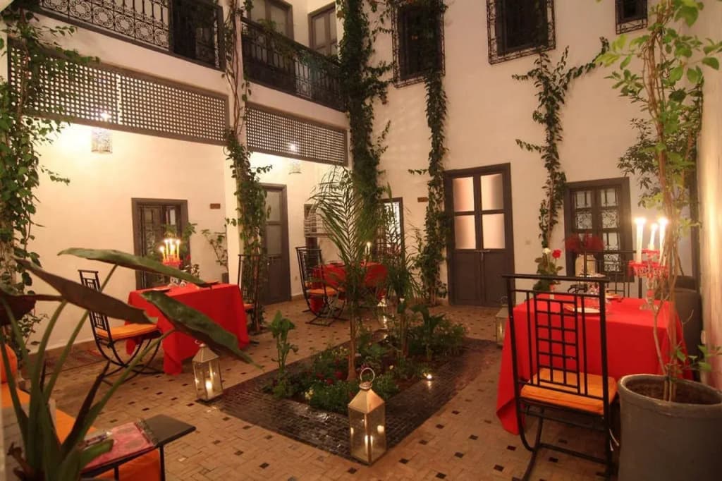 Riad Nafora - photo 8