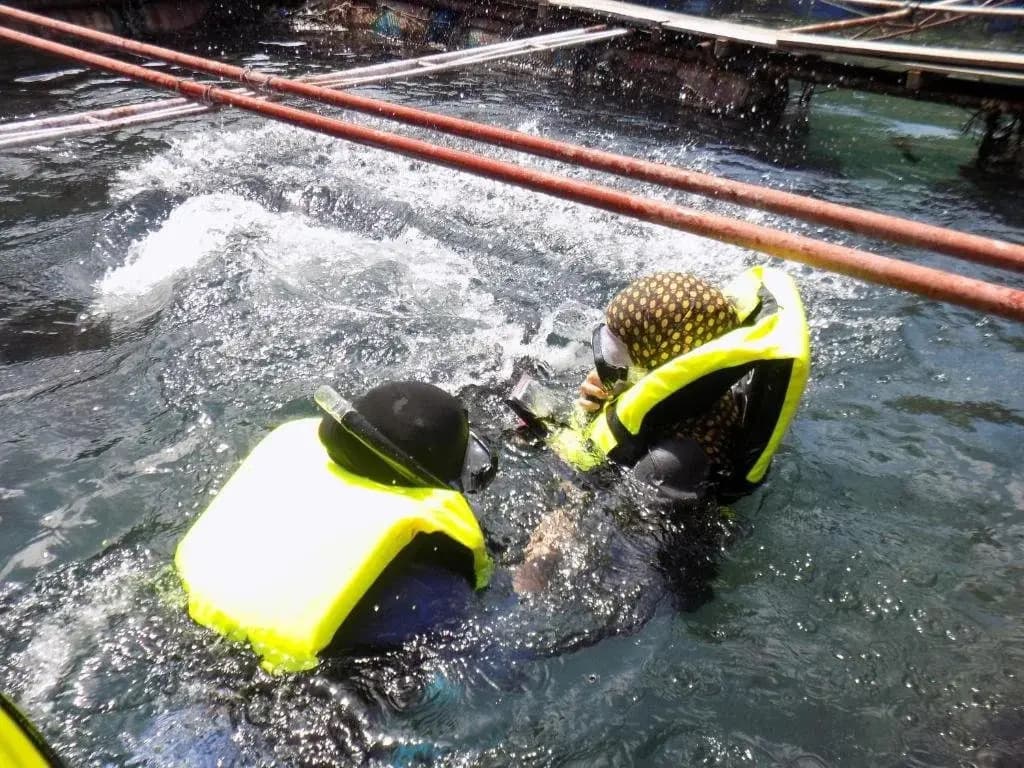 Terapung Hotel & Fish Garden - photo 4