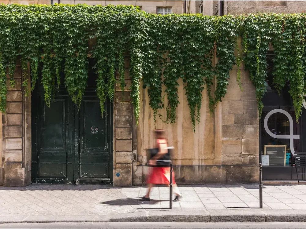 Merveil - Luxury Suite - Marais Archives - photo 15