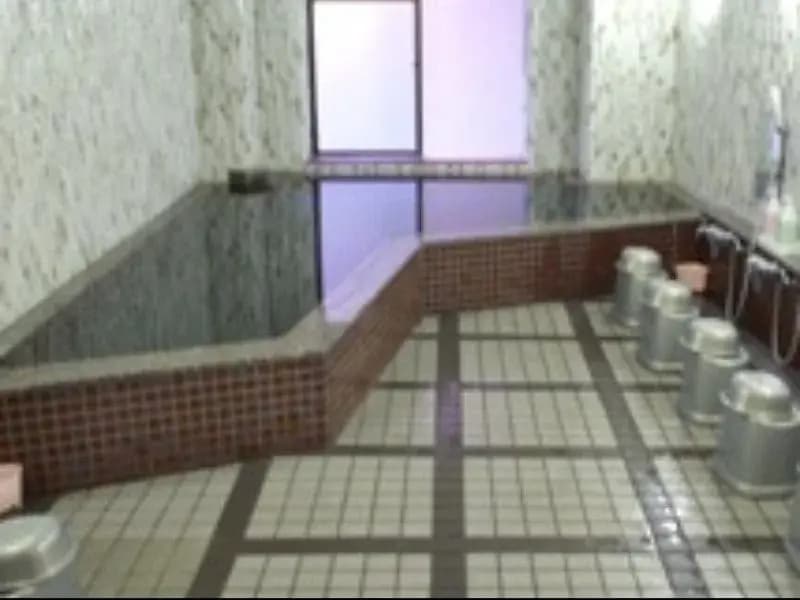 Nissyokan Shoshintei - photo 13