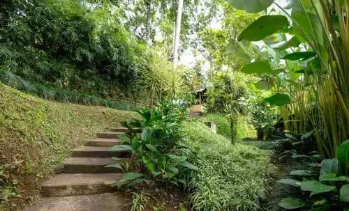 The Desa Ubud Villa - photo 28