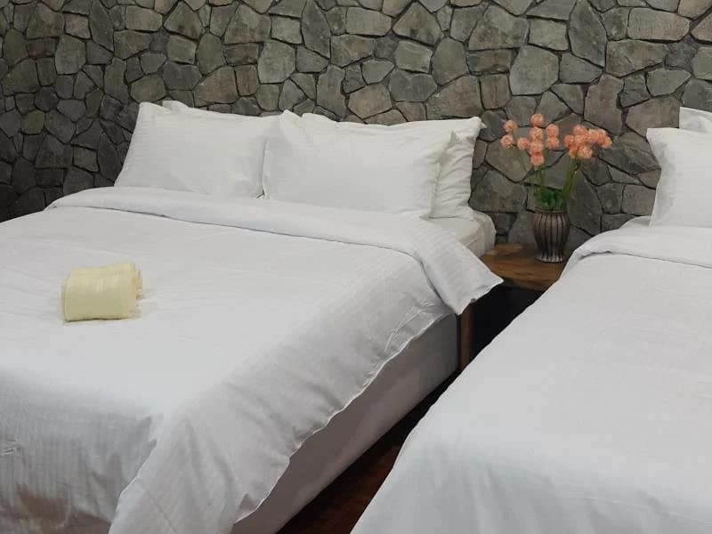 Harmony Guest House - photo 7