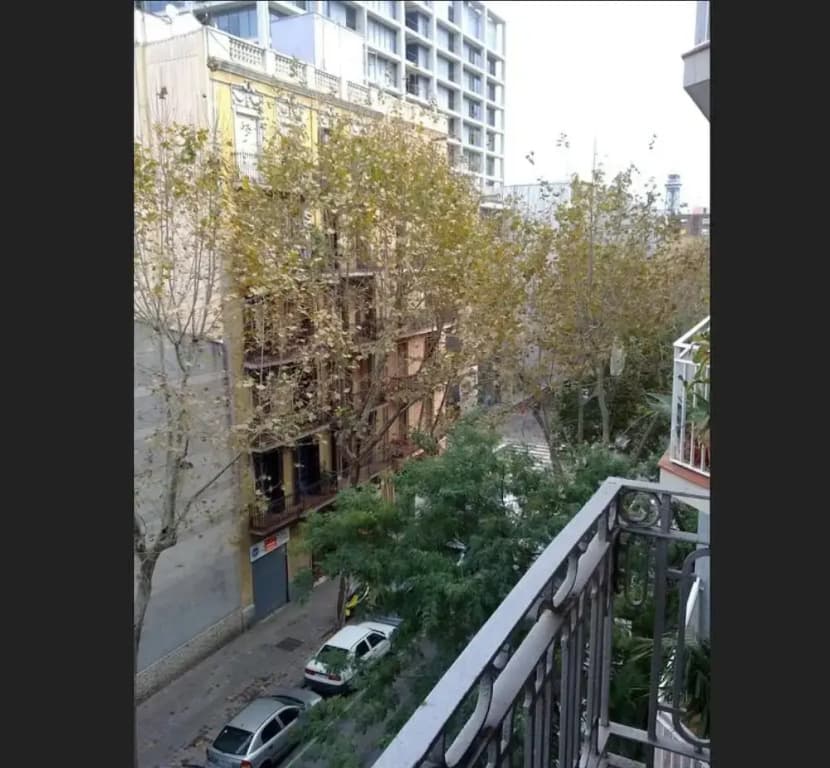Hostal Apolo - photo 17