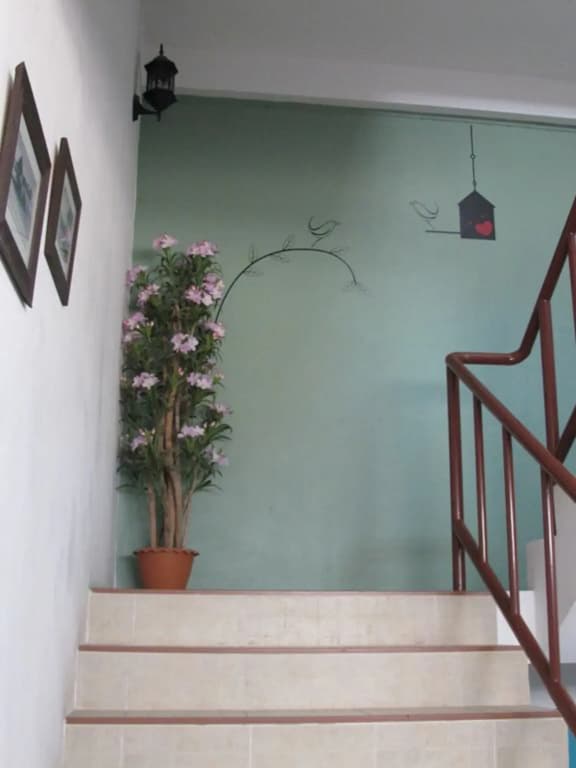 Machima House - photo 10