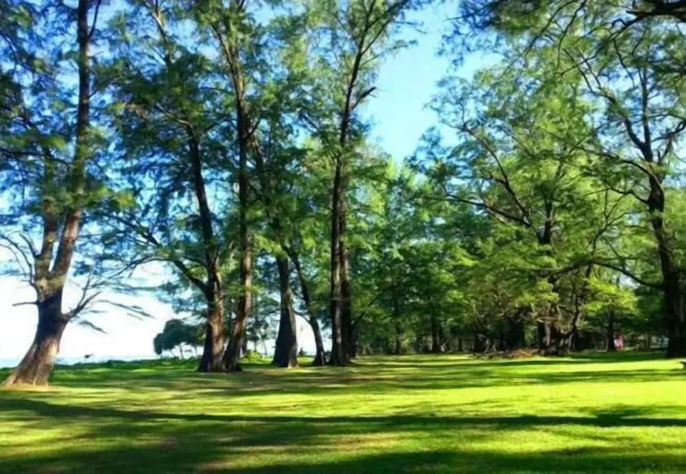 HulaFling Homestay - photo 10