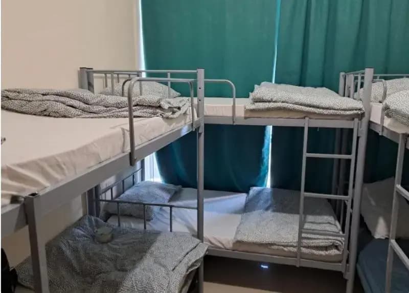 Top House Hostel - photo 1