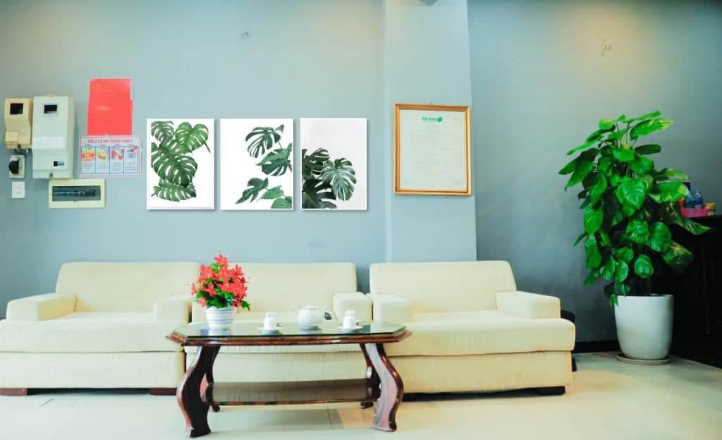 Thao Nguyen Hotel - main photo