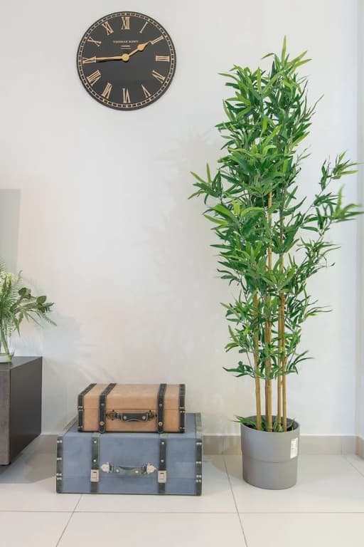 Tranquil Studio With Unmatched Ocean Views in Palm - photo 9