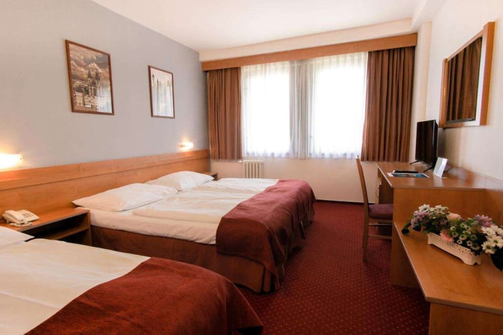Hotel Globus - photo 6