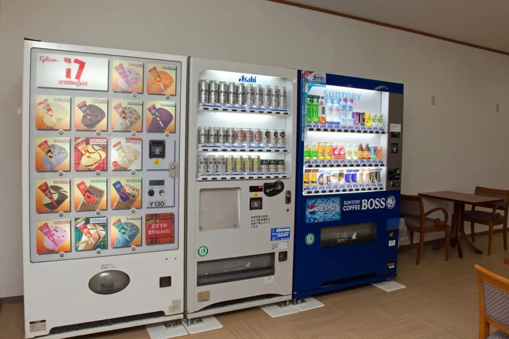 Hotel Kansai - photo 12