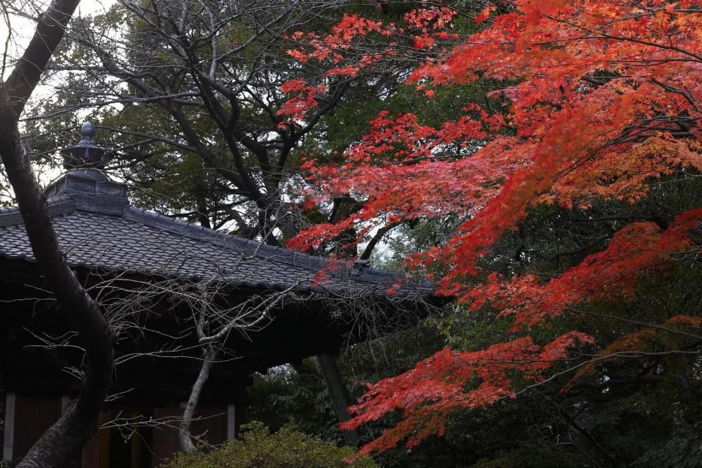 Grand Prince Hotel Shin Takanawa - photo 22