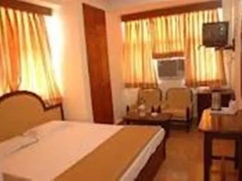 Harjas Palace - photo 6