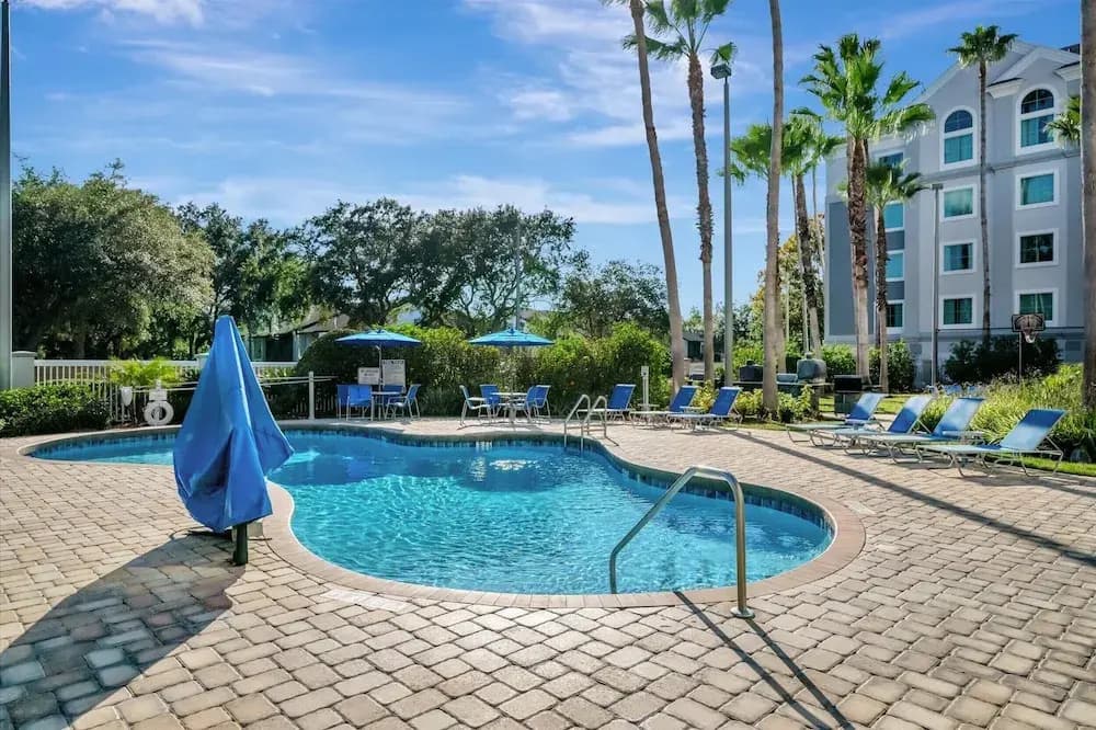 8303 Palm Disney - photo 14