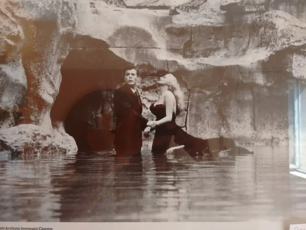 Anni 50 Bb - photo 20