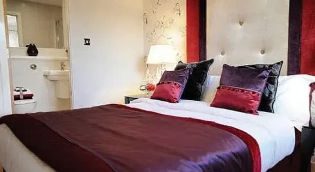 Fettes Apartments - photo 4