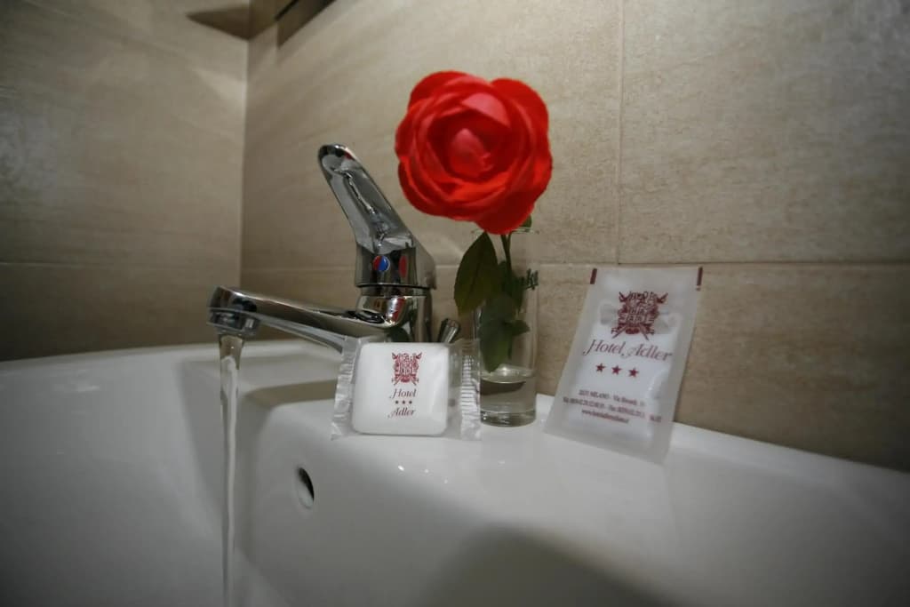 Hotel Adler - photo 15