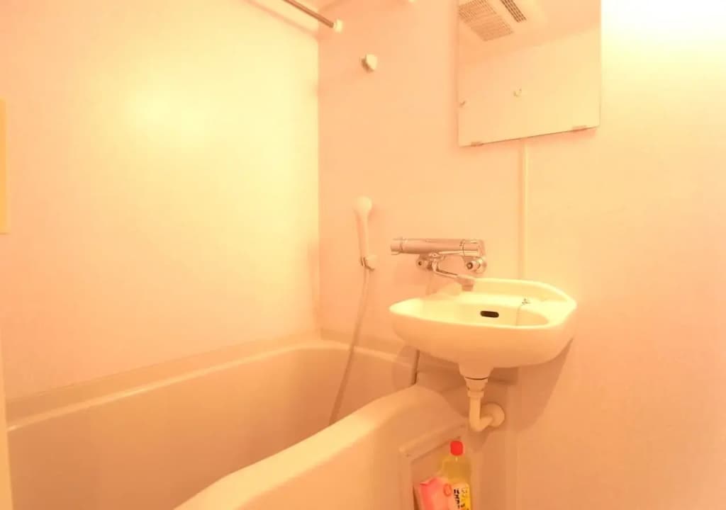 Palace Studio Shinjuku Tochomae - photo 9