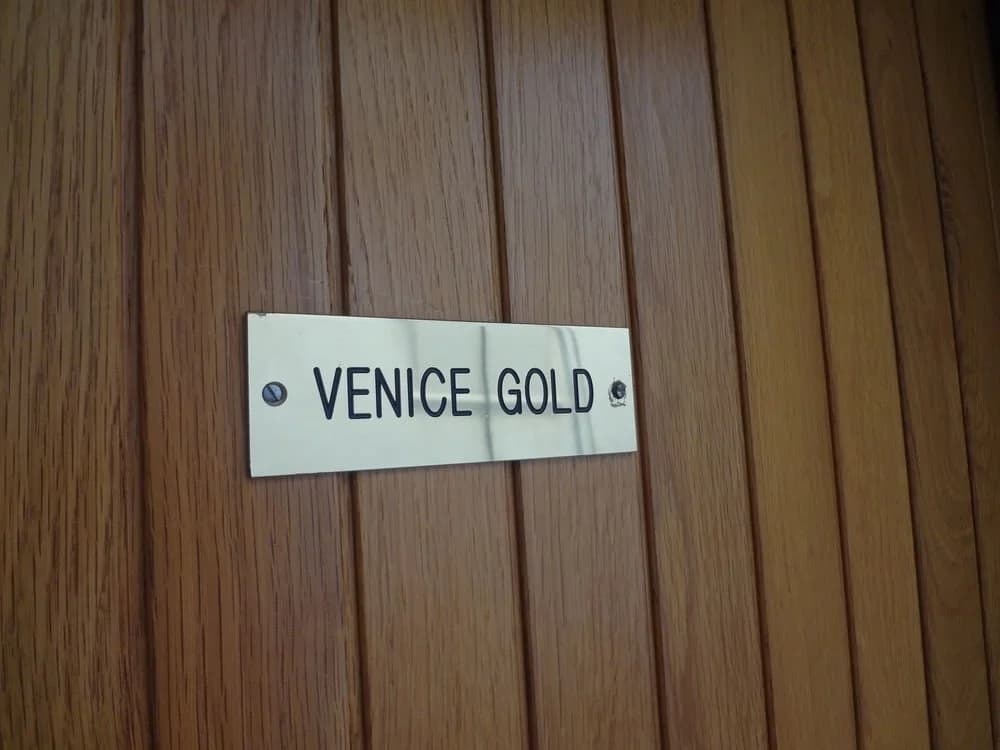 Venice Gold - photo 12