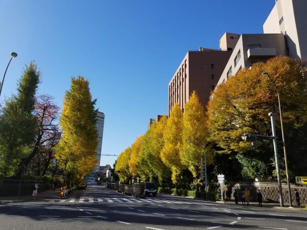 Tokyo Garden Palace - photo 15