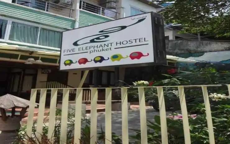 Five Elephant Hostel - main photo