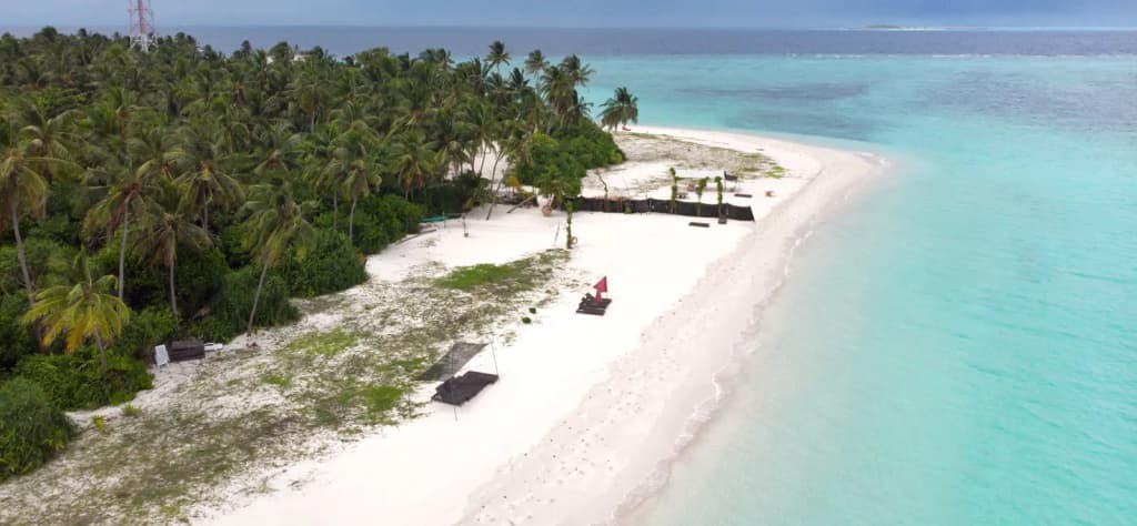 Origami Inn Himandhoo - photo 18