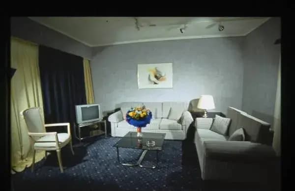 Lion Hotel - photo 9