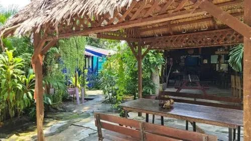 Gecko Guesthouse Langkawi - photo 8