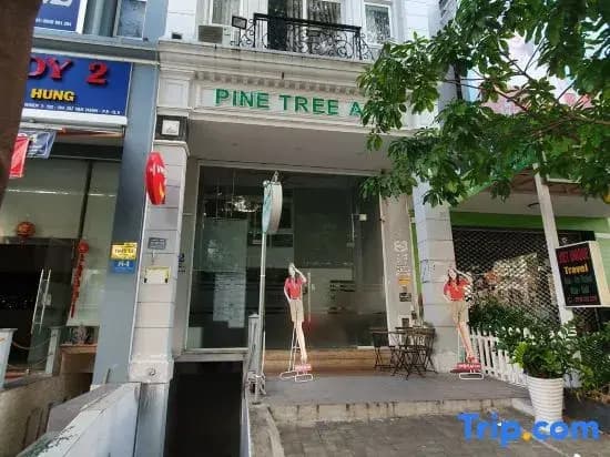 Pine Tree Apt - main photo