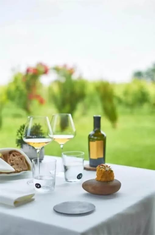 Venissa Wine Resort - photo 21