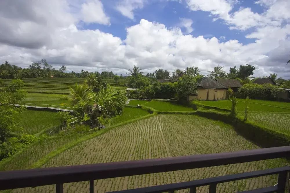 Purnama Guest House - photo 14