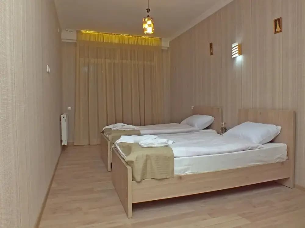 Hotel Petre Palace - photo 4