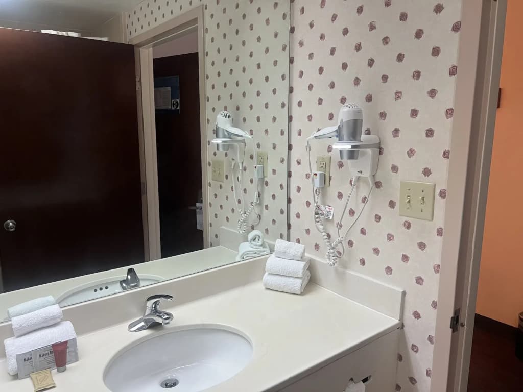 Orlando Palms Hotel - photo 8