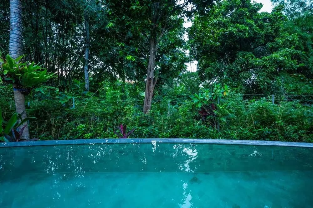 AV Villa Paramitha - photo 16
