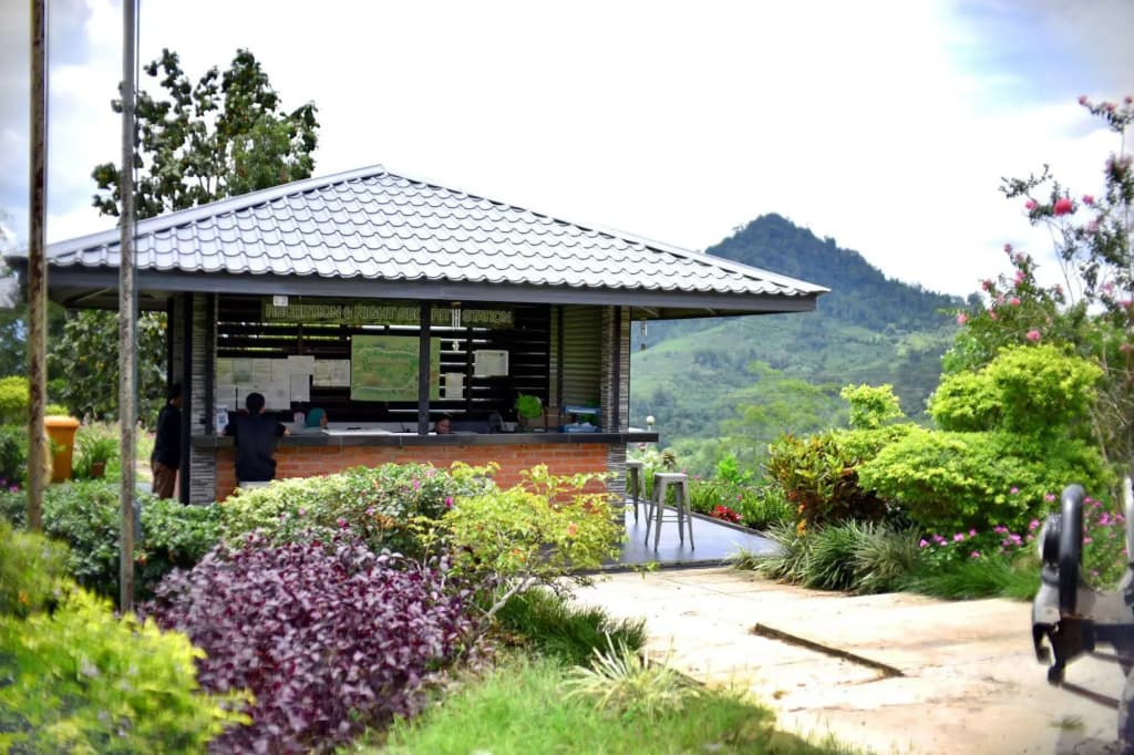 Sabah Tea Garden-Longhouses - photo 3