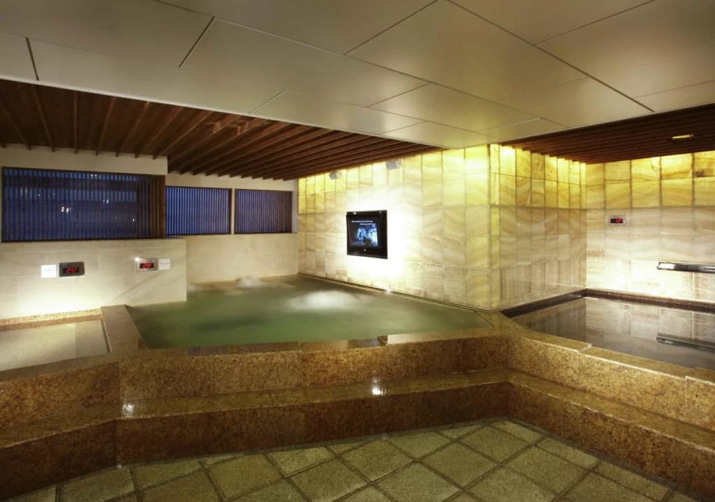 Novotel Ambassador Seoul Gangnam - photo 19