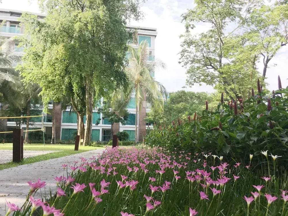 Perfect Harmony Condotel - photo 17