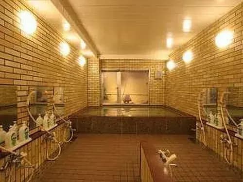 Tomiya Ryokan - photo 11
