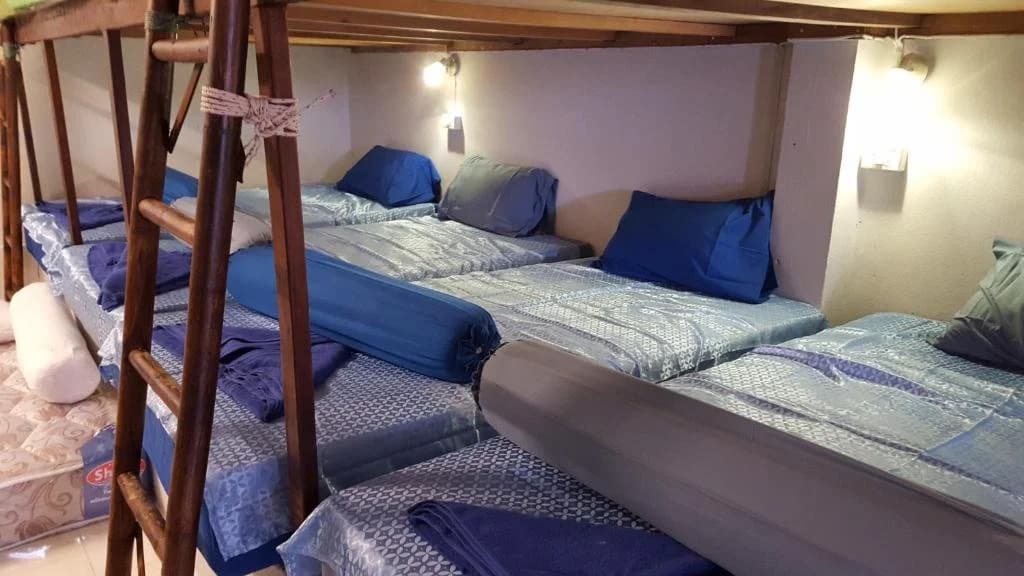 Fellini Dorm - photo 3